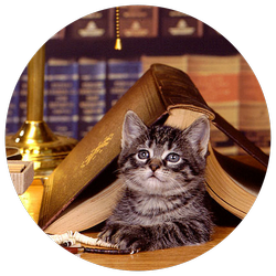 Хорошие книги