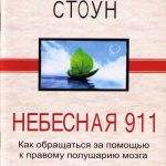 Небесная 911